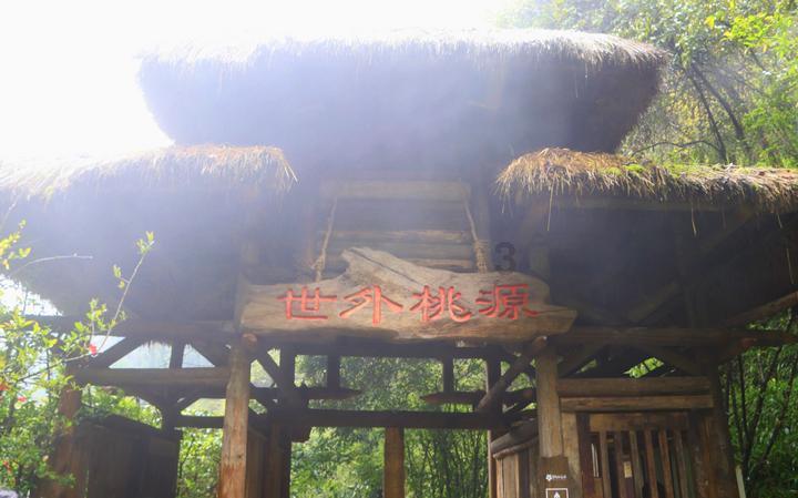 逃离野丛之森